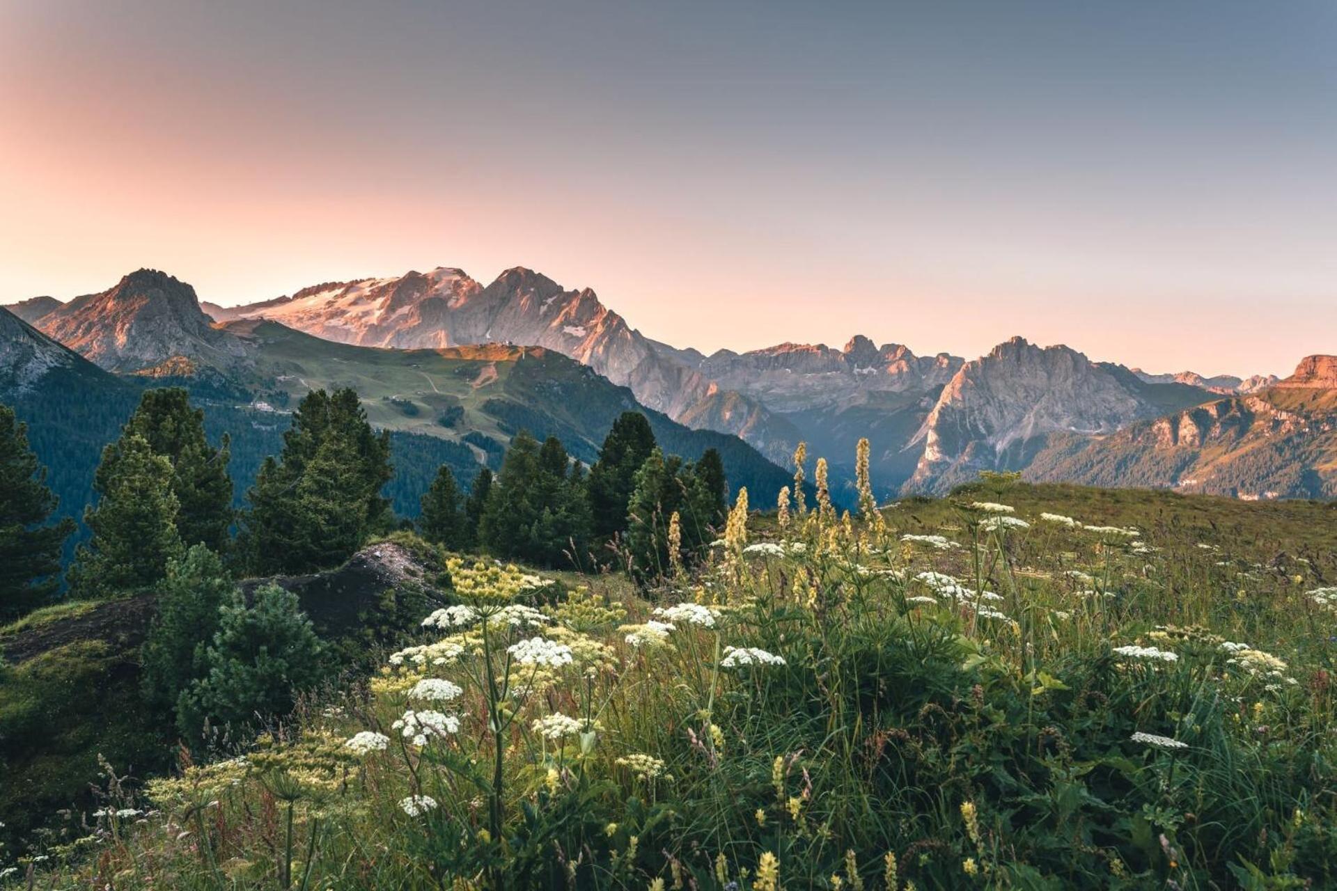 B&B Cesa Planber Mountain View Bike Friendly Canazei Luaran gambar