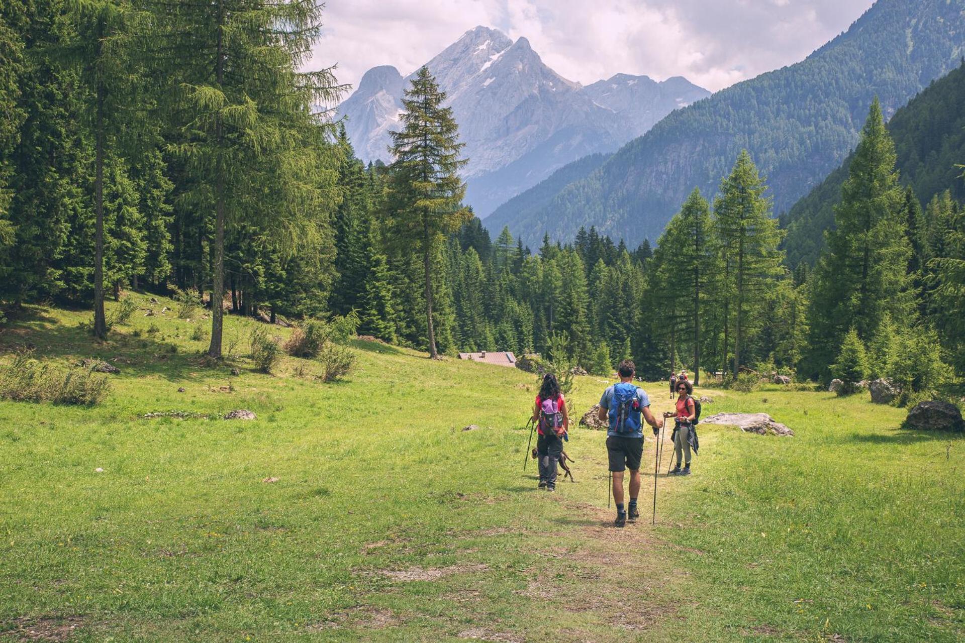 B&B Cesa Planber Mountain View Bike Friendly Canazei Luaran gambar